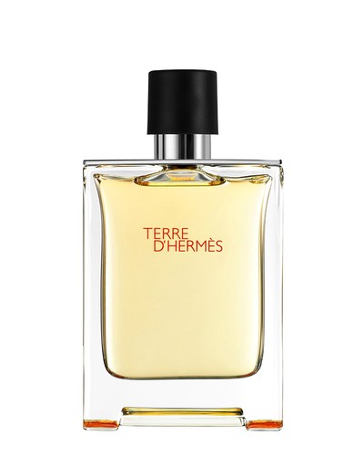 Hermes Terre D Hermes 100ml edt tester