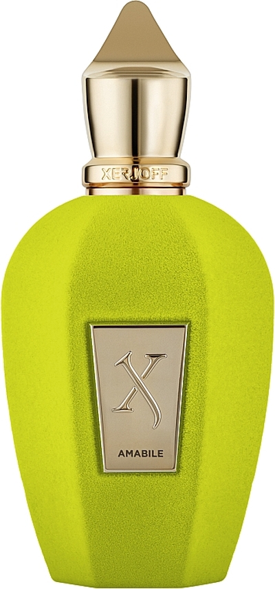 Xerjoff Amabile 100ml tester